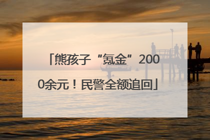 熊孩子“氪金”2000余元！民警全额追回